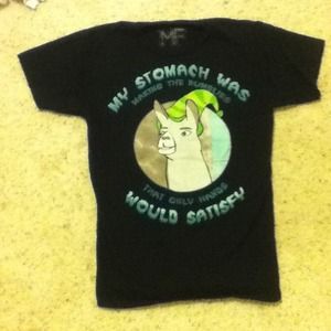 Llamas with hats shirt!!