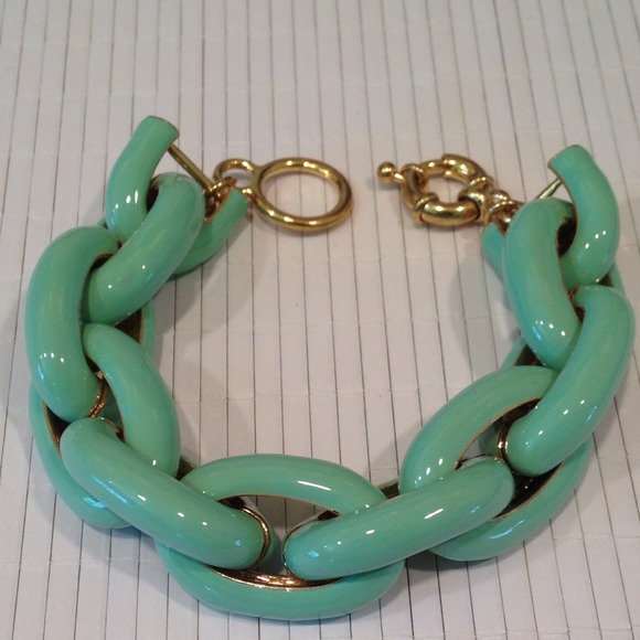 Jewelry - A 7 inches long MINT color bracelet