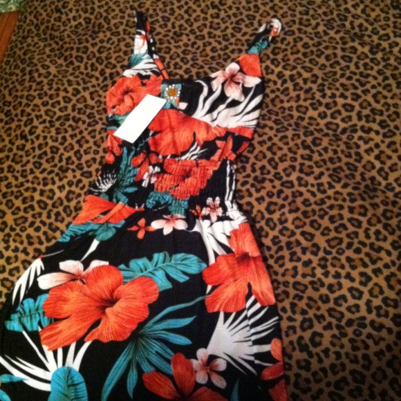 Dress! Still had the tag!