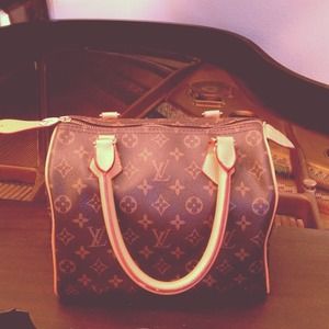 LV handbag