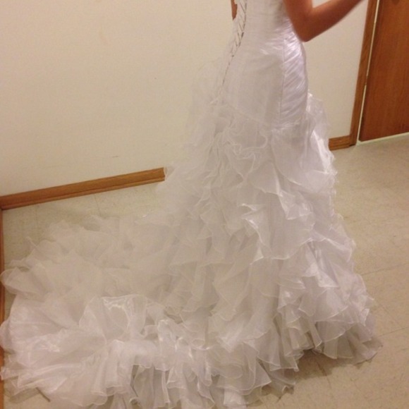 Gorgeous NEW wedding gown! - Picture 4 of 4