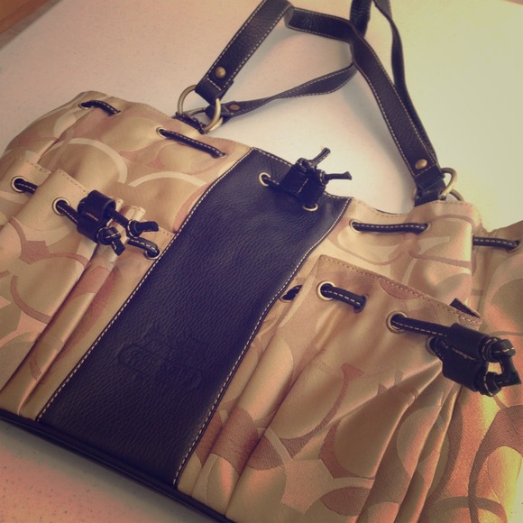 Coach Inspired Bag