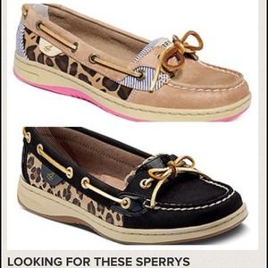 Looking for these sperrys!