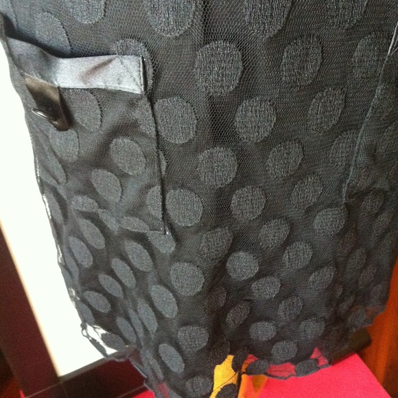 Pretty Sheer Lace Polka Dots Dress - Picture 3 of 3