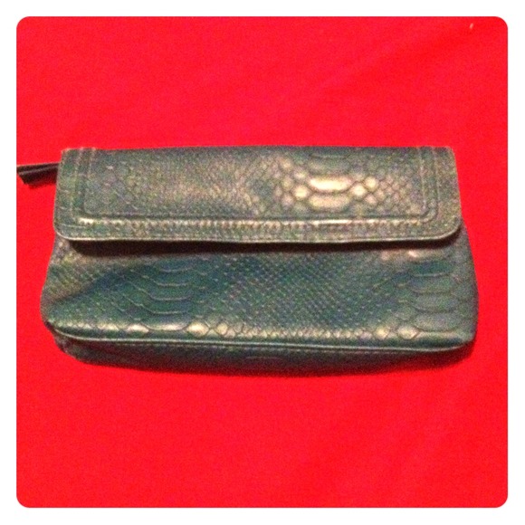 Teal snakeskin Merle Norman makeup bag