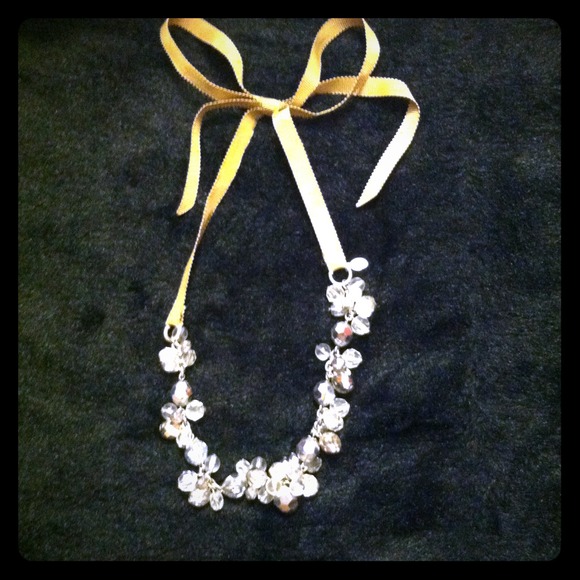 American Eagle Choker