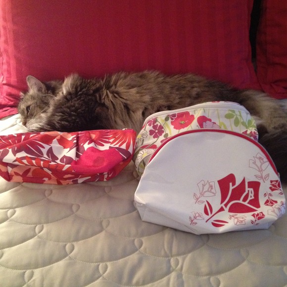 Three Clinique and Lancôme make-up bags