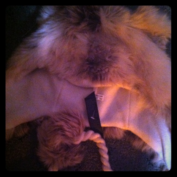 Too cute bear hat