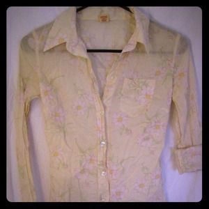 Daisy print top :: Hollister