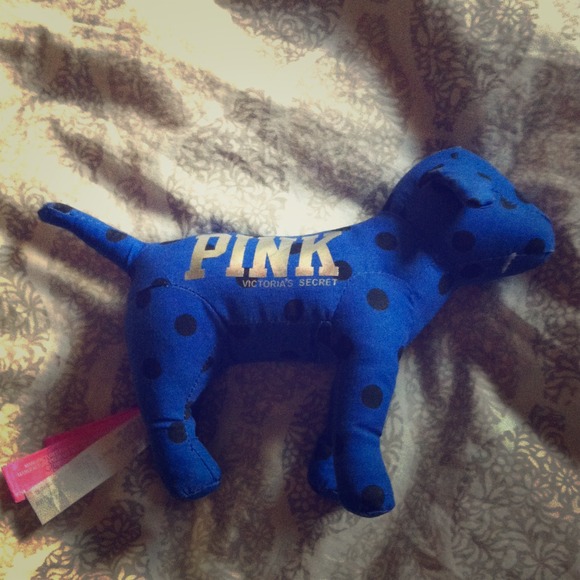 VS pup
