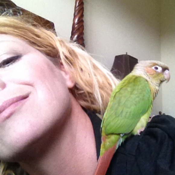 INTRODUCING.......GINGER!!!๐ฆ๐ฃ๐ฃ - Picture 2 of 3