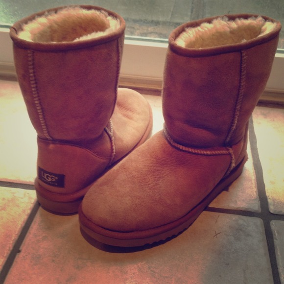 Chestnut Classic Short Ugg Boots