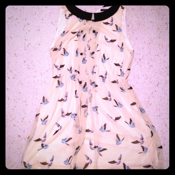 Bird print high neck dress