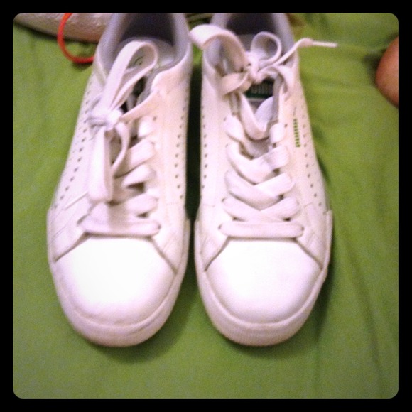 PUMAs