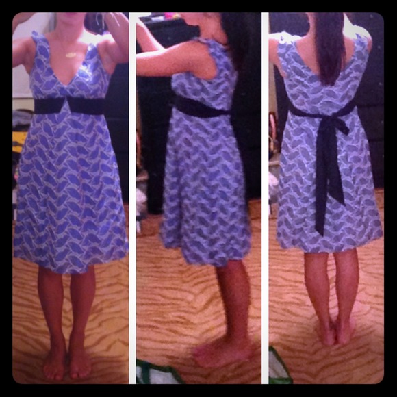 Anthropologie Lithe Waterleaf Dress