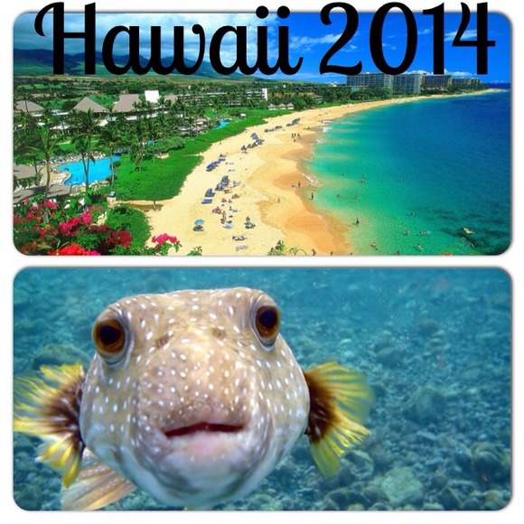 Honeymoon fundraiser! Your purchase will helpππ - Picture 2 of 3