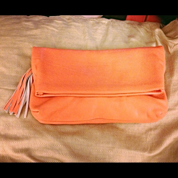 Coral clutch/handbag