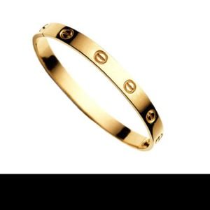 LOOKING FOR CARTIER LOVE BRACELET SIZE 17!!