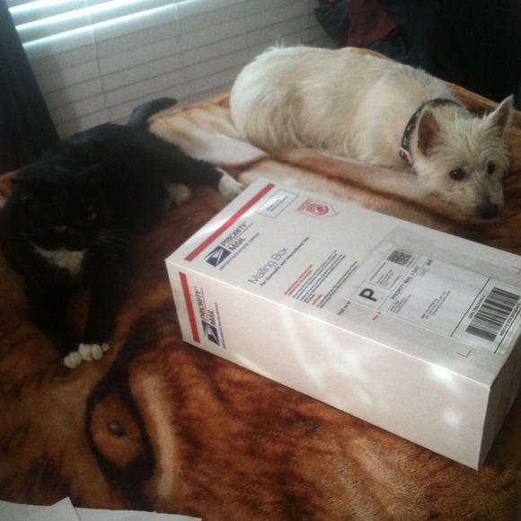📦Shipped📮