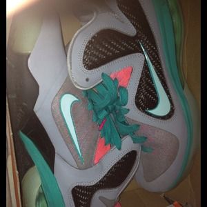Lebron 9 south beach