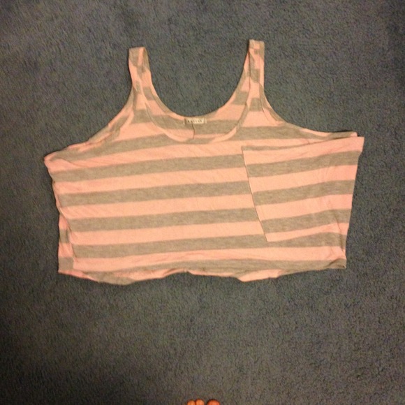 Pink/Grey Striped Crop Tank - Picture 3 of 3