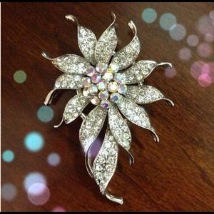🌸Beautiful flower pin🌸