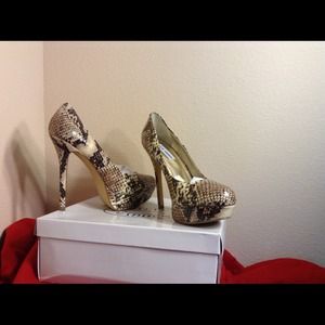 Steve Madden