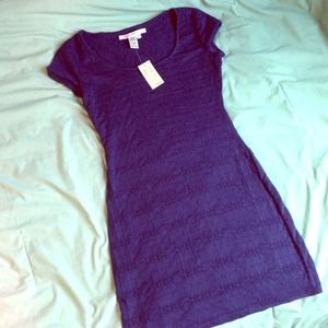 Max Studio Knit Dress
