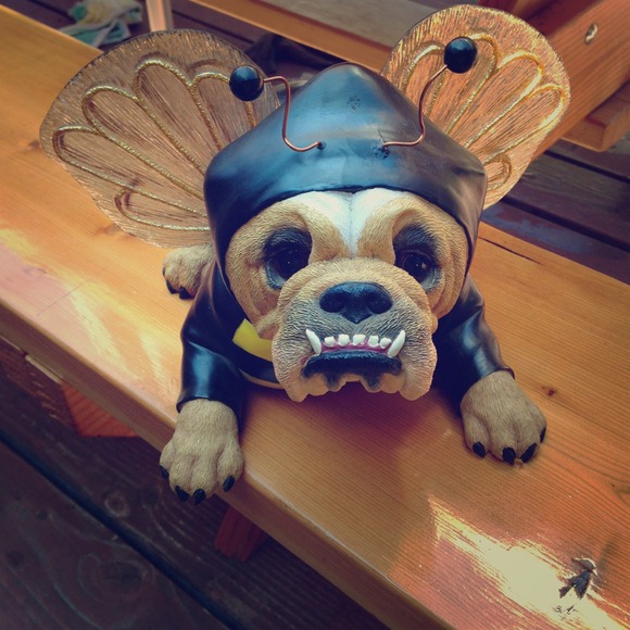 Zelda's wisdom Accessories - ✂️REDUCED✂️Zelda's wisdom "Why BEE Normal" figurin