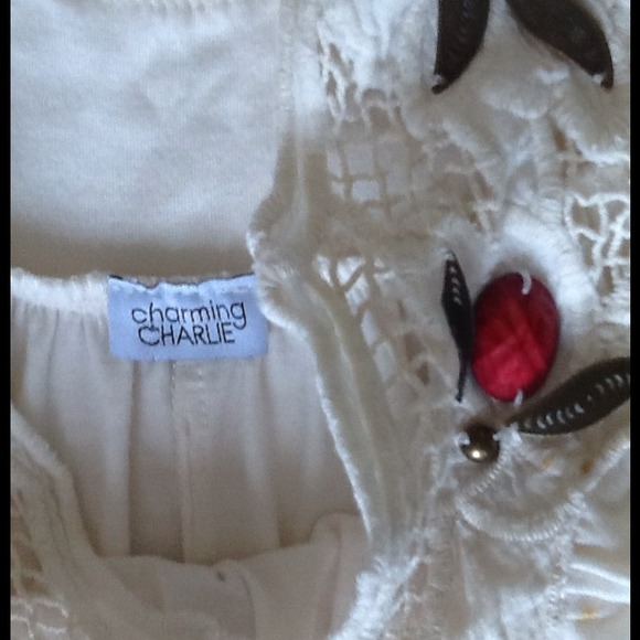 Charming Charlie's Embellished Tunic - Picture 2 of 4