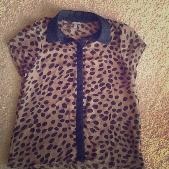 Pattern Sheer Top