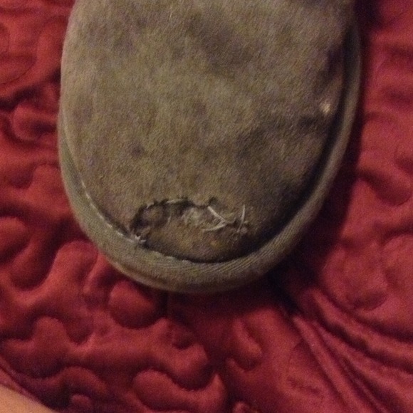 Authentic Grey Short uggs - Picture 3 of 3