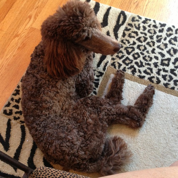 Girl is much better! - Picture 2 of 4