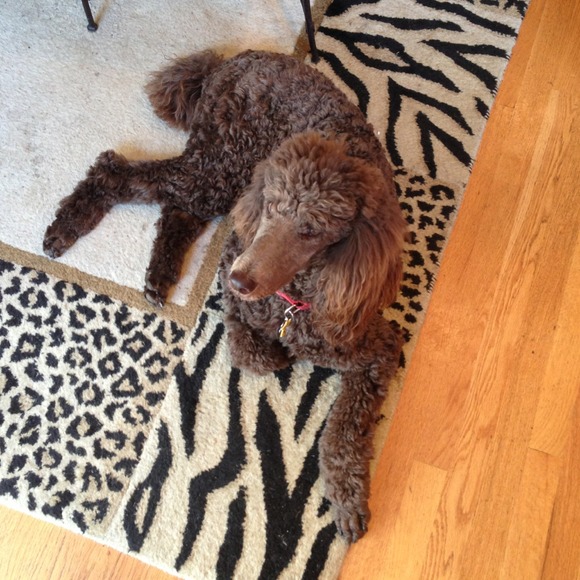 Girl is much better! - Picture 4 of 4