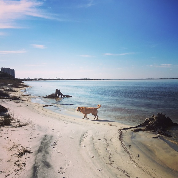 Hi Poshers! 🌼🌿 - Picture 2 of 3