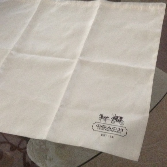 Big coach dust bag
