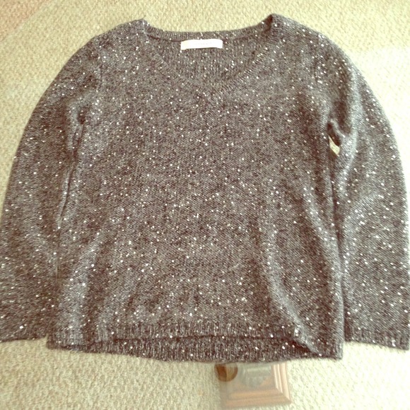 Zara Knit Sequin Sweater