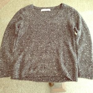 Zara Knit Sequin Sweater