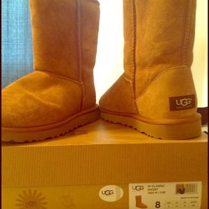Short chestnut Ugg boots