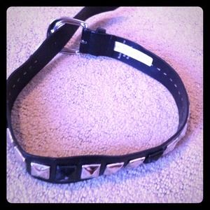 Big studs belt