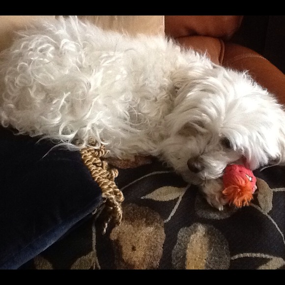 ❤Snuggly Princess Sasha❤