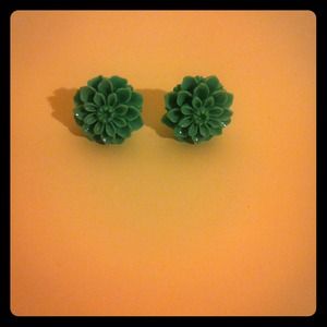 Francesca's teal earrings.