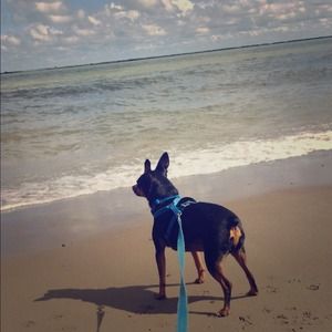 Everything needs to go! Make me a reasonable offer