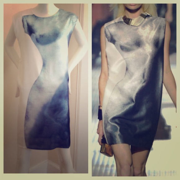 Silhouette Silk Dress