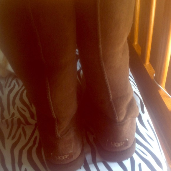 Size 8 Classic Tall Brown Uggs