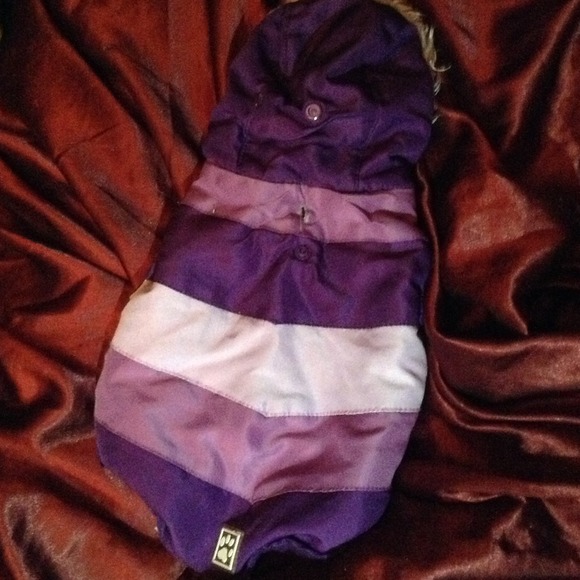 Purple striped dog Parka