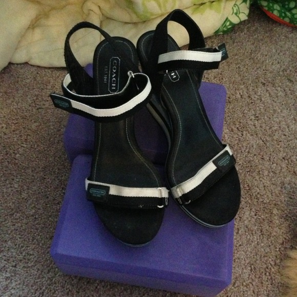 Coach wedges