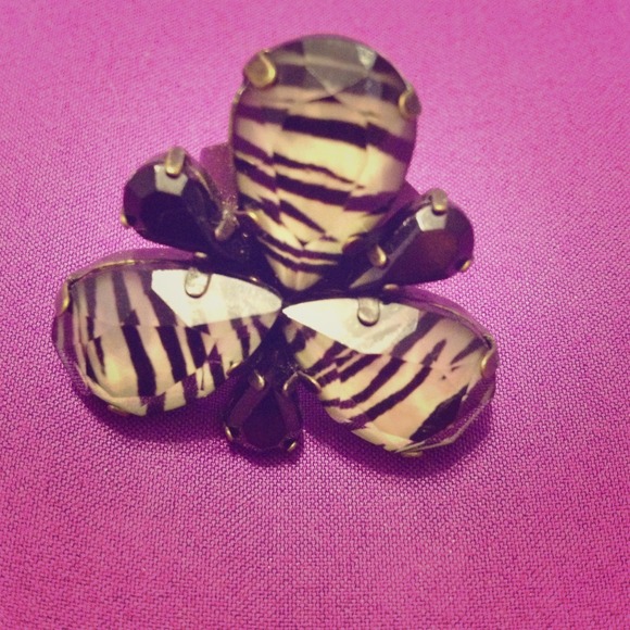 Zebra and black ring