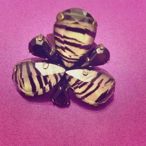 Zebra and black ring