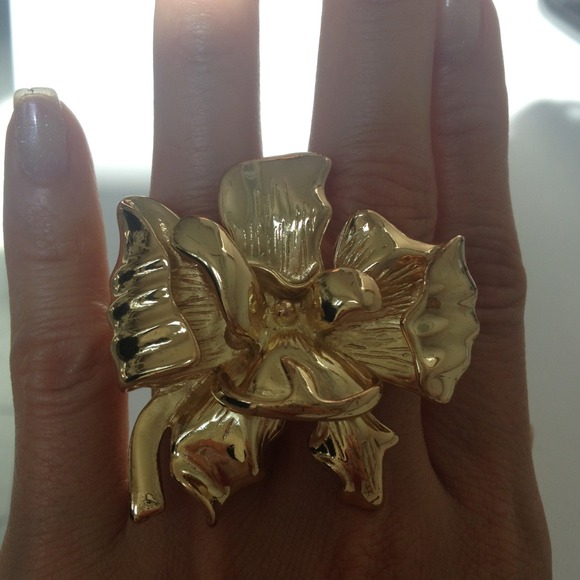 BCBG ring